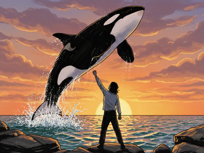 Free Willy